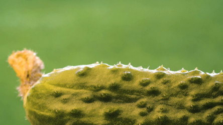 Similar image 21123120