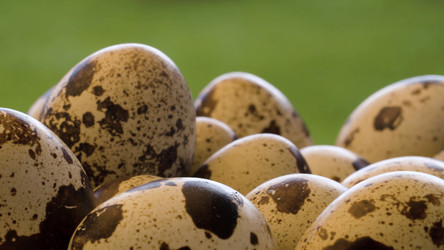 Similar image 21123121