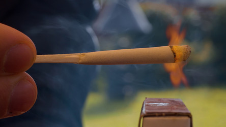 Similar image 21123124