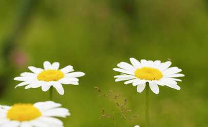 Similar image 21123137