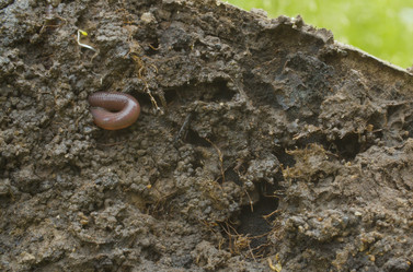 Similar image 21123140