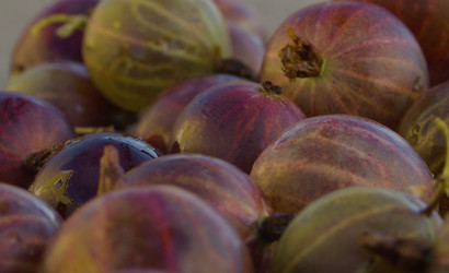 Similar image 21123142