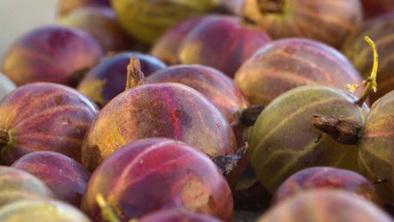 Similar image 21123143