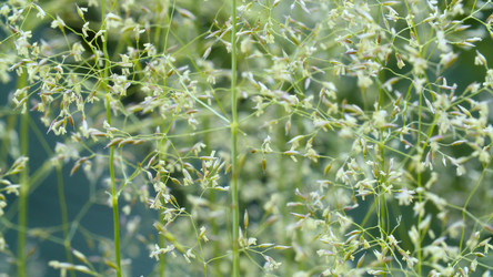 Similar image 21123147