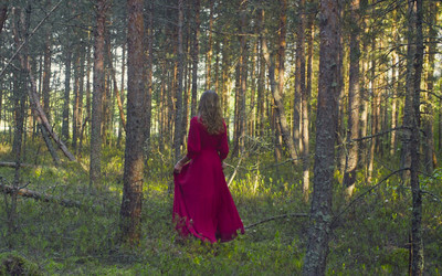 Similar image 21123164