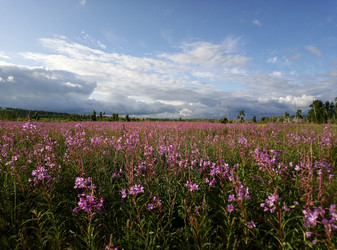 Similar image 21124765