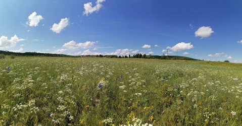 Similar image 21124766