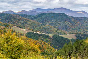 Similar image 21130767