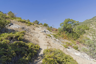 Similar image 21123787