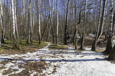 Similar image 21123790