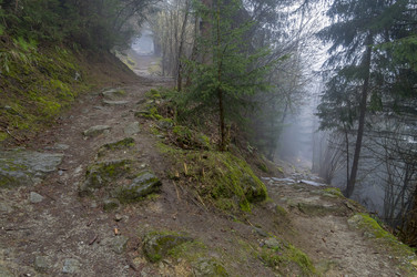 Similar image 21123794