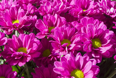 Similar image 21123802