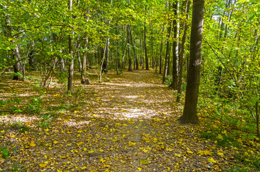 Similar image 21123807