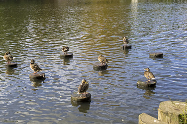 Similar image 21123811