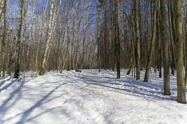 Similar image 21123813