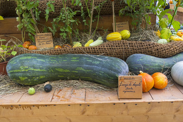 Similar image 21123817