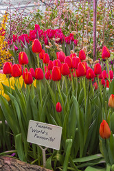 Similar image 21123818