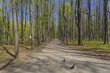 Similar image 21123820