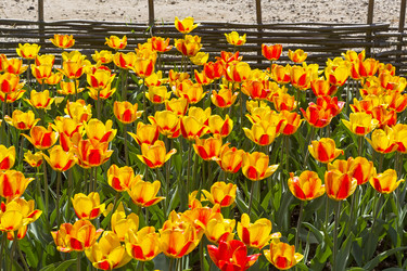 Similar image 21123823