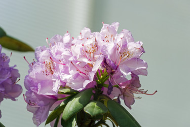 Similar image 21123824