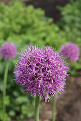 Similar image 21124906