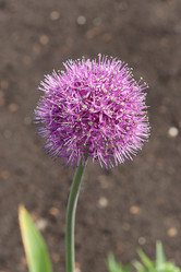 Similar image 21124907