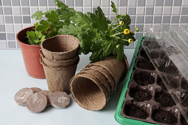 Similar image 21124909