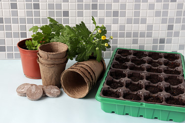 Similar image 21124910