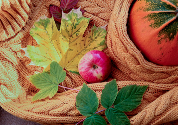 Similar image 21125307