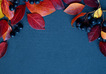 Similar image 21125311