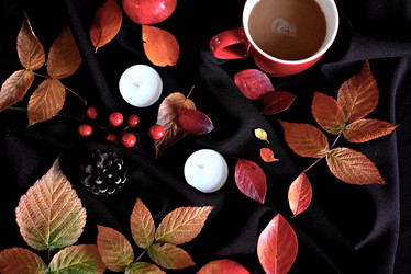 Similar image 21125312