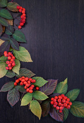 Similar image 21125327