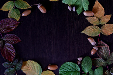 Similar image 21125328