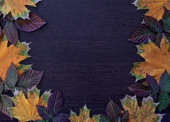 Similar image 21125329