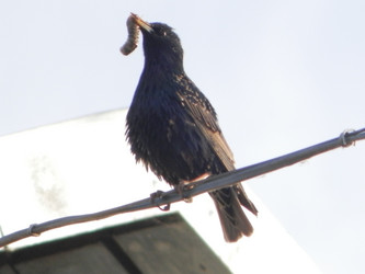 Similar image 21127765