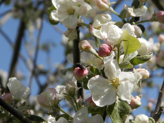 Similar image 21127076