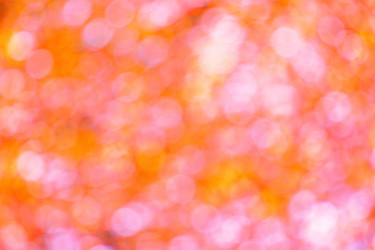 Similar image 21123946