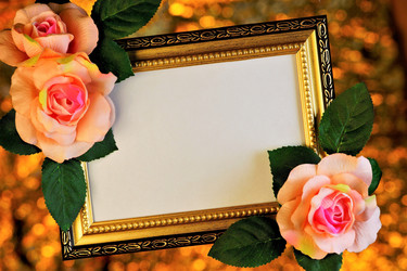 Similar image 21123949