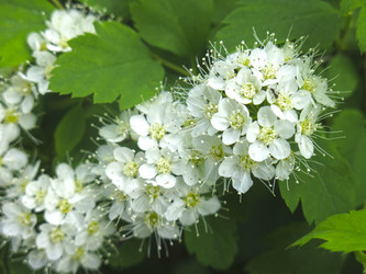 Similar image 21129727