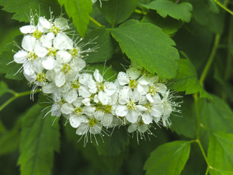 Similar image 21129728