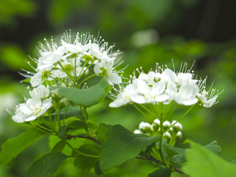 Similar image 21129730