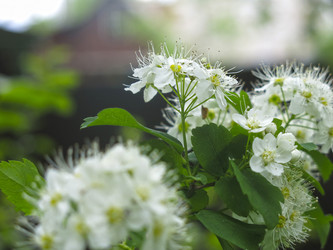 Similar image 21129731