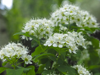 Similar image 21129732