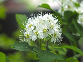 Similar image 21129733