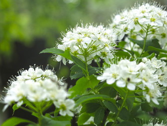 Similar image 21129734