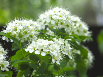 Similar image 21129735