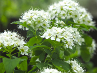 Similar image 21129736