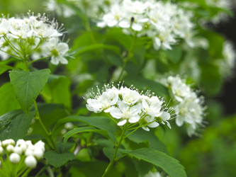 Similar image 21129737