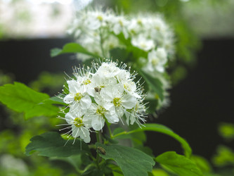 Similar image 21129738