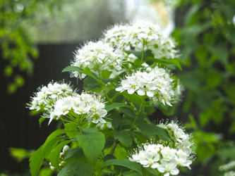 Similar image 21129739